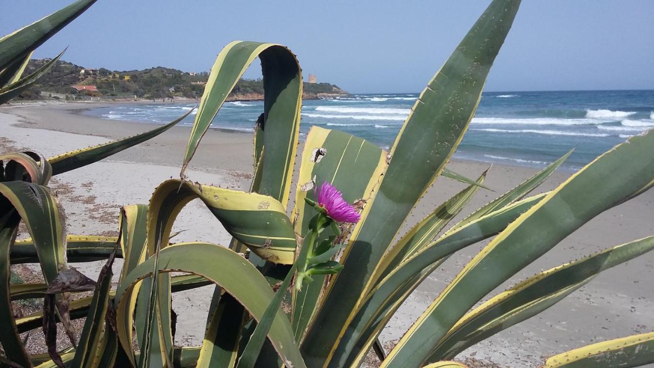 La Casetta Rosa Tertenìa Eksteriør billede